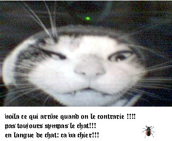 quelle tete